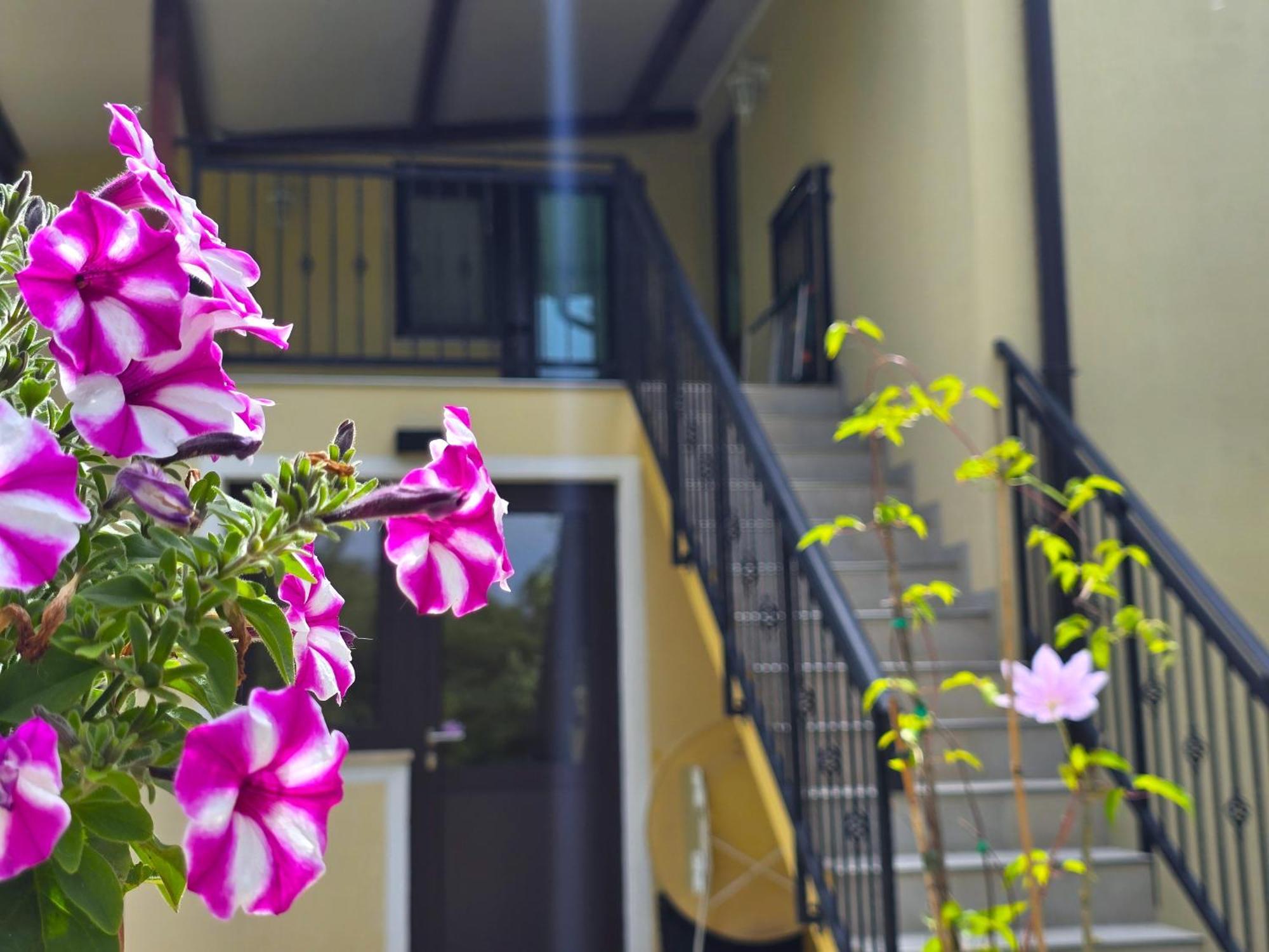 Keser Apartments Rovinj Eksteriør bilde