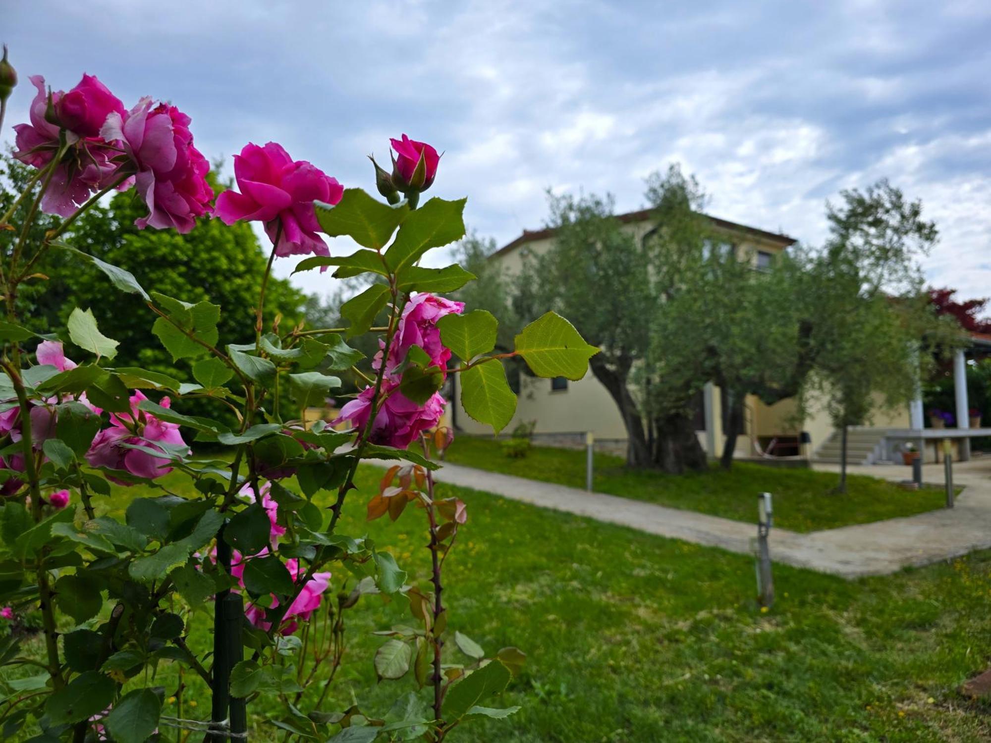 Keser Apartments Rovinj Eksteriør bilde