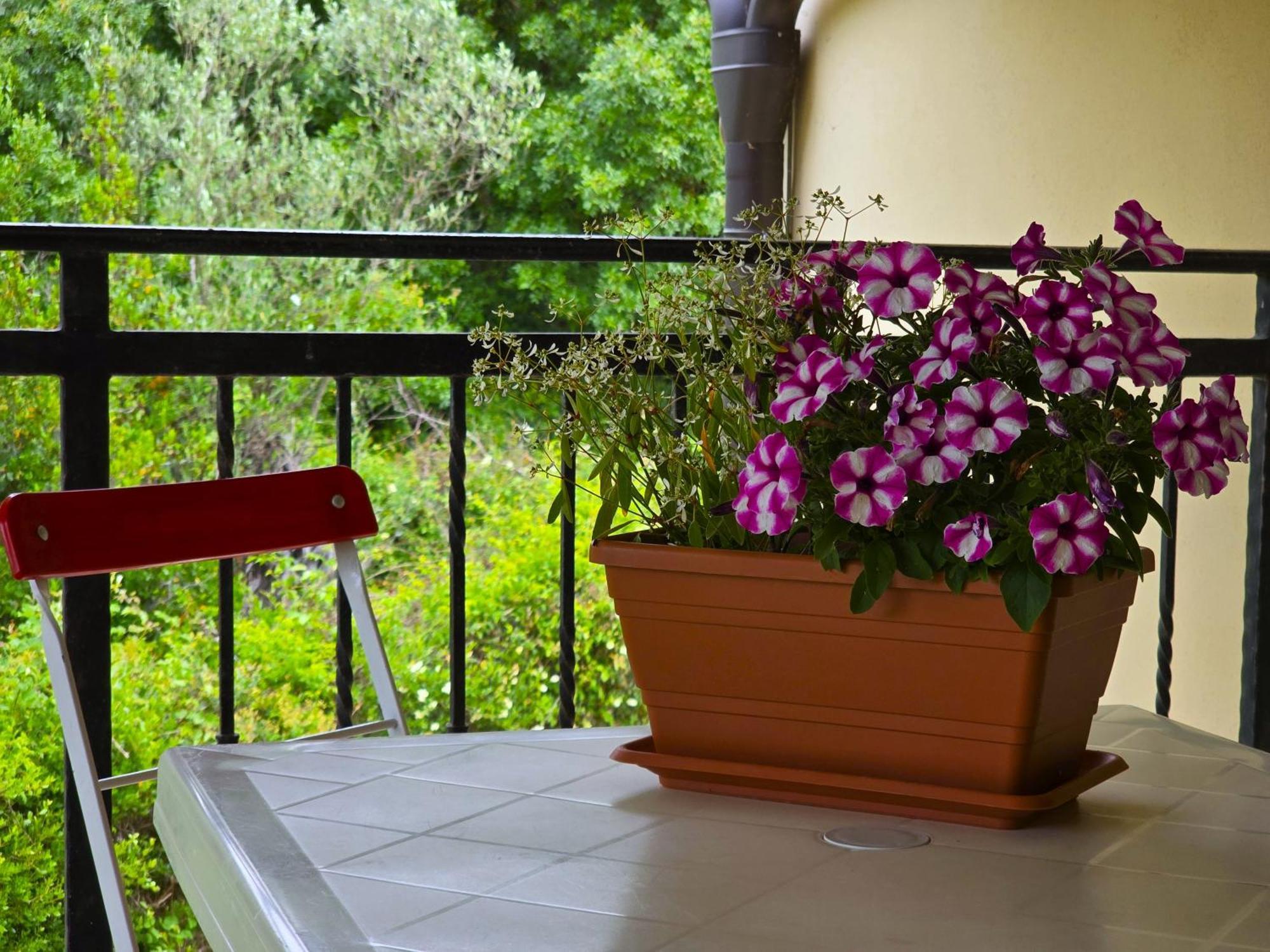 Keser Apartments Rovinj Eksteriør bilde